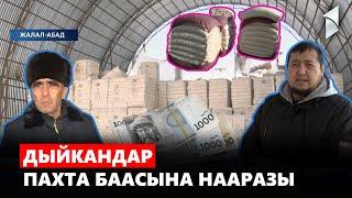 Дыйканды нааразы кылган пахта наркы