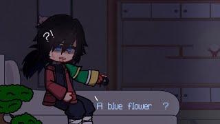 Ep 1: A Blue Flower..? || Hanahaki Disease AU|| Giyuu Angst