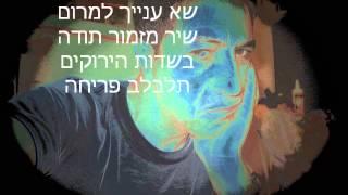 צא אל העולם   איציק ארזי