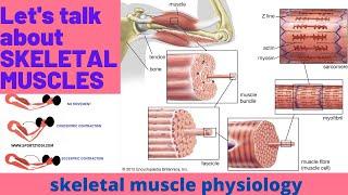 SKELETAL MUSCLES BASICS AND CONTRACTION BY RANA MUHAMMAD NOMAN PART 1