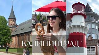 VLOG: Куда сходить в Калининграде за 4 дня/Зеленоградск/Куршская коса/Светлогорск/Лучшие заведения