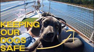 DOG PROOFING a Sailboat | Sailing Zephyr - Ep. 173