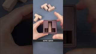 The 6T Puzzle Box: It's Not What You Think  #shorts #viral #puzzle