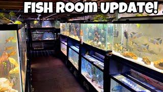 UPDATE ON THE NEW FISH FROM INDONESIA... 100's Of Fish!!!