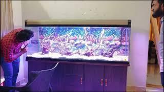 Minjiang Aquarium 6 Feet Fish Tank Setup Day 1 by Jayapradesh from Crown Aquarium