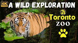 Toronto Zoo Tour 2024 - A Wild Exploration