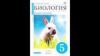 § 27 Как человек появился на Земле
