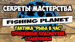 Fishing Planet  Секреты мастерства  Тактика Рыба в час  Трофейные красноухие солнечники