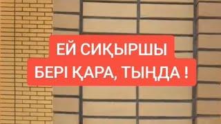 СИҚЫРШЫ. СИҚЫР ЖАСАУ КҮНӘ! ИЛЬЯС БАУЫРЫЫМЗҒА КӨМЕК КЕРЕК. ЖАМАНШЫЛЫҚ ЖАСАҒАН  АДАМ САҒАН ЕСКЕРТУ.