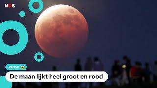 De superbloedmaan was vannacht heel goed te zien