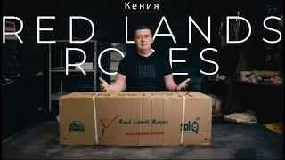 Кустовая роза | Плантация Red Lands Roses, Кения