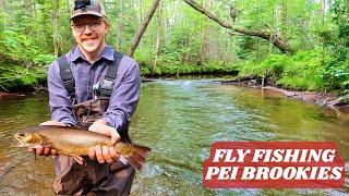 Fly Fishing Brook Trout in PEI - 1000MILE Roadtrip