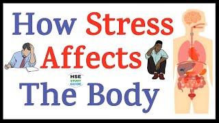 How Stress Affects The Body || HSE STUDY GUIDE