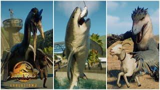 SOME OF THE BEST ANIMATIONS ! FIGHTS, HUNTS, KILLS, INTERACTIONS IN JURASSIC WORLD EVOLUTION 2