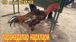 Андижон Мархамат туман паранда бозори 19 май