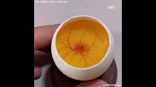 the process of hatching a chick