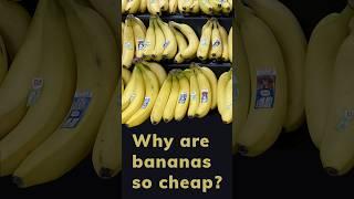 Why are bananas so cheap? 