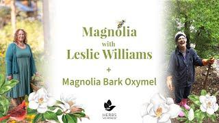 Magnolia with Leslie Williams + Magnolia Bark Oxymel recipe