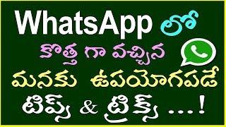 Secret WhatsApp Tricks & Hacks Which you Don't Know || WhatsApp tricks with WhatsApp Latest Version