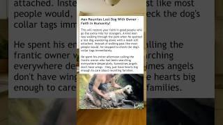 Lost Dog Found By A Angel #wholesome #humanity