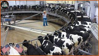 How Do Farmers Raise Millions Of High Yielding Cows - Modern Dairy Factory | Food Factory