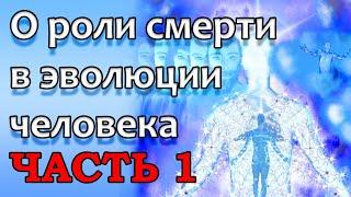 О РОЛИ СМЕРТИ В ЭВОЛЮЦИИ ЧЕЛОВЕКА. ЧАСТЬ 1. Секлитова Л.А., Стрельникова Л.Л.