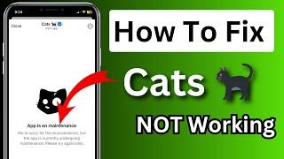 How To Fix Cats Not Working/Cats Airdrop Not Entering#catsairdrop