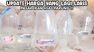 UPDATE HARGA YANG LAGI LARIS‼️PASAR IKAN HIAS PARUNG‼️