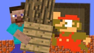 Minecraft Builder VS Super Mario Bros. | Mario Animation