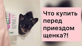 ЧТО КУПИТЬ ПЕРЕД ПРИЕЗДОМ ЩЕНКА