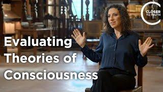 Liad Mudrik - How to Evaluate Theories of Consciousness