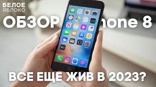 Обзор iPhone 8 | Все еще можно пользоваться? | По-настоящему бюджетный iPhone на 2023 год