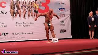 2018 IFBB FITNESS MANIA CLASSIC   Bodybuilding  up to 90 kg  over 90 kg  OVERALL