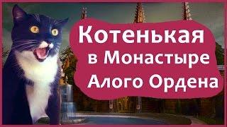 История подземелий WoW - Монастырь Алого Ордена