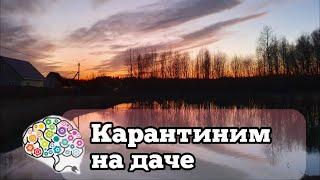 Карантин на даче | VLOG