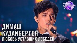 Димаш Кудайберген - Любовь уставших лебедей | Песня года 2018