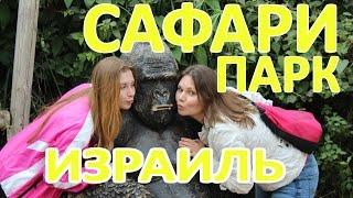 Израиль. Парк Сафари. 1 часть