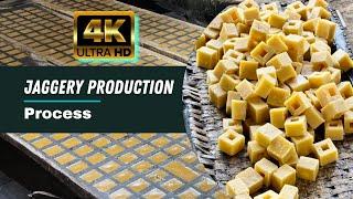 Jaggery Making Process | Jaggery Manufacturing