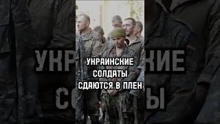 Украинские солдаты массово сдаются в плен в Курске: их будут судить как террористов и мародеров