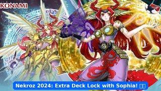 "New Nekroz Combos 2024: Exploit Extra Deck Lock with Nekroz of Sophia! |Yu-Gi-Oh! OCG/TCG"