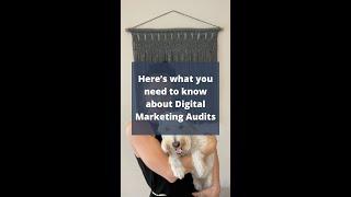 Here’s what you need to know about Digital Marketing Audits