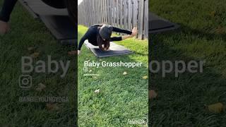 BABY GRASSHOPPER   |  a full body strengthening pose.   #athomeyoga #onlineyoga