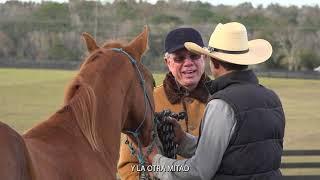 Benjamin Leon Jr. 40 Years in the Paso Fino Breed