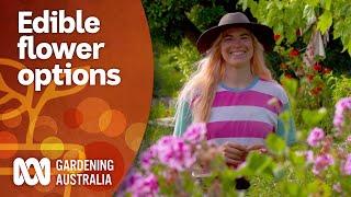 7 edible flower options and how to serve them | Gardening 101 | Gardening Australia