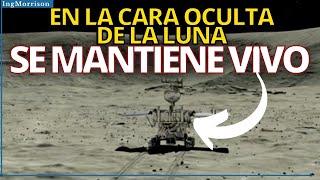 CON VIDA EN LA CARA OCULTA DE LA LUNA | Los HALLAZGOS DE CHINA  EN LA LUNA con EL ROVER LUNAR YUTU-2