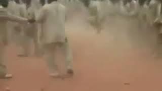 Evidence of dust in z.c.c