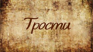 Тактильные трости и наконечники