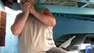 shimudog in harmonica - The Magnificent Seven in harmonica