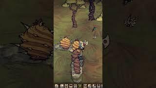 АФК ФЕРМА на КАКТУСАХ в don't starve shipwrecked #dst #dontstarve #гайд #shipwrecked #shorts #рек