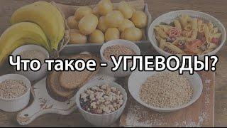 Что такое углеводы (в каких продуктах содержатся углеводы)